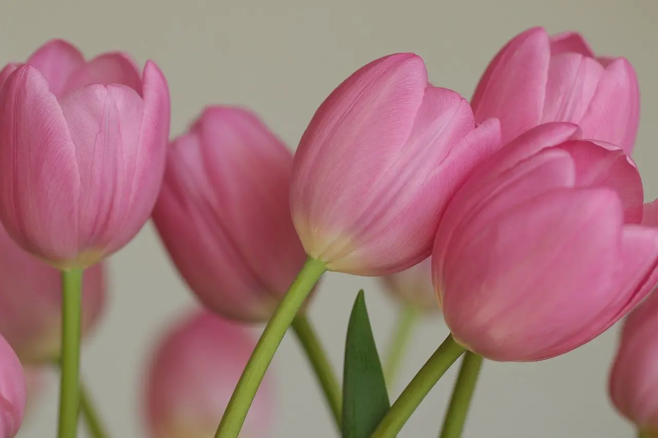 Dekoration med blomster